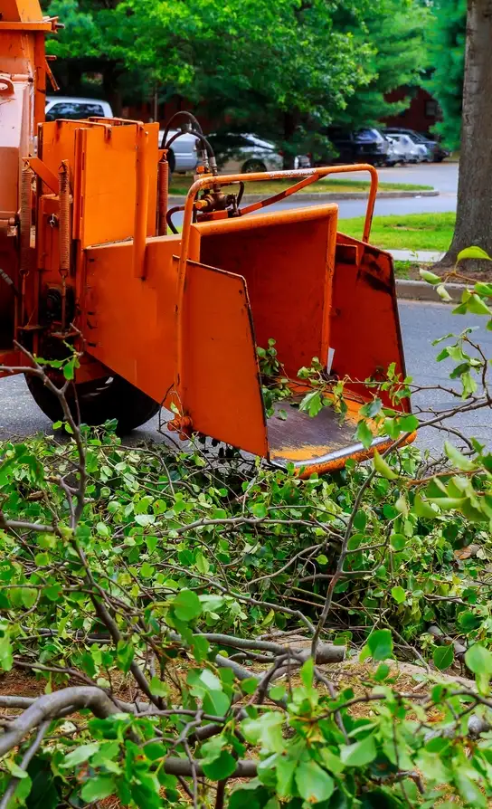 reliable land cleaning company image 1