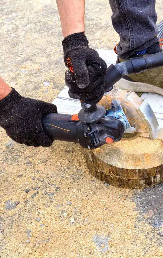 Stump removal and grinding section image 2