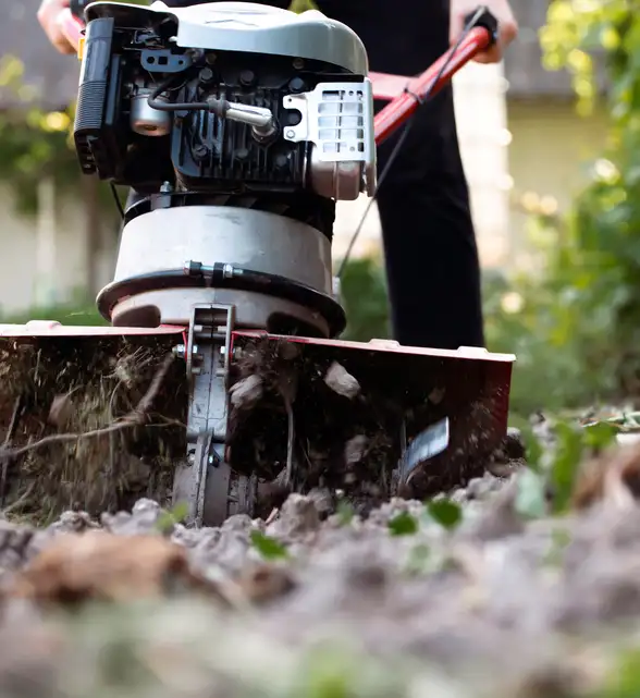 what to do after stump grinding image 2